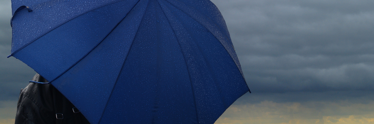 umbrella in the rain