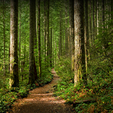 Blog-Equities: Finding a path amid uncertainty