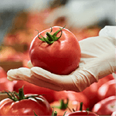 Blog-Global Equities: Quality control